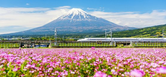 Der Shinkansen-Express am Fuße des Fuji - Credit Blanscape - stock.adobe.com