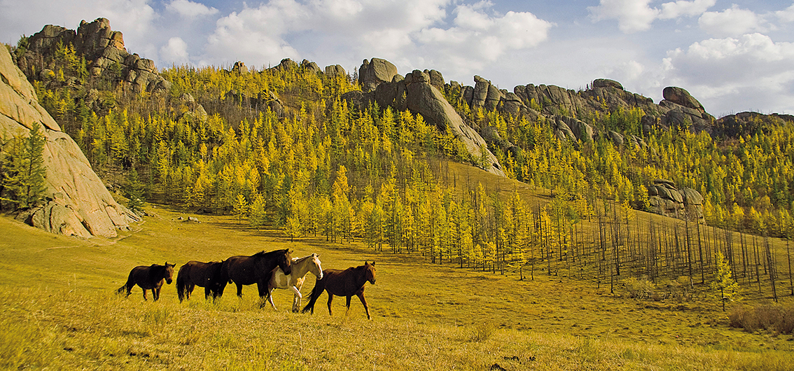 Day 11.  Ulan Bator and the Mongolian Alps