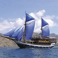 Das Schiff auf Ihrer Reise Sea Safari VII