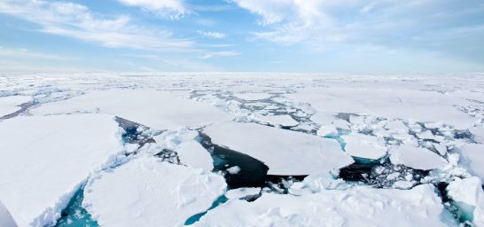 Die dichten Eisschollen des Packeises in Spitzbergen