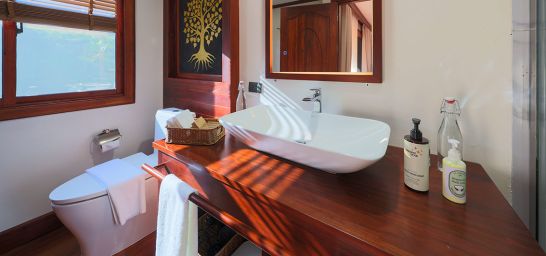 Mekong-Star-Executive-Kabine-Badezimmer