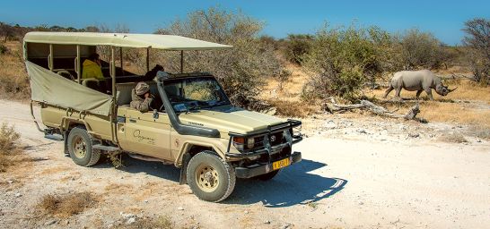 Safari im Etosha-Nationalpark