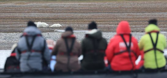 Ausflug im Zodiac, Spitzbergen