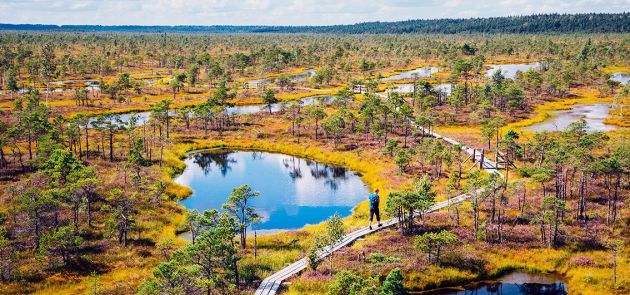 Kemeri-Nationalpark