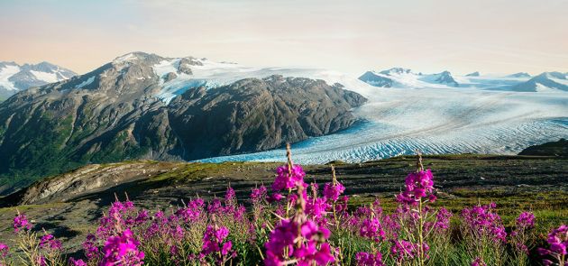 Kenai-Fjords-Nationalpark---