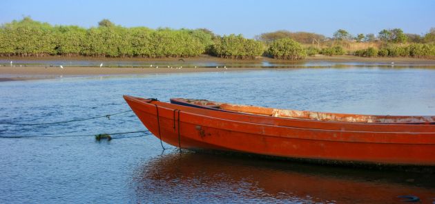 Piroge vor Mangrovenwäldern in der Casamance