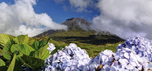 Vulkan Montanha do Pico