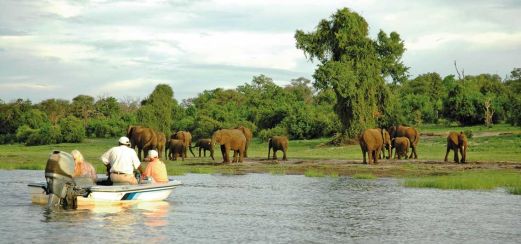 Unterwegs auf dem Chobe