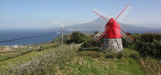 Im Weinanbaugebiet auf Pico, Azoren.