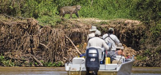 Auf Safari im Pantanal