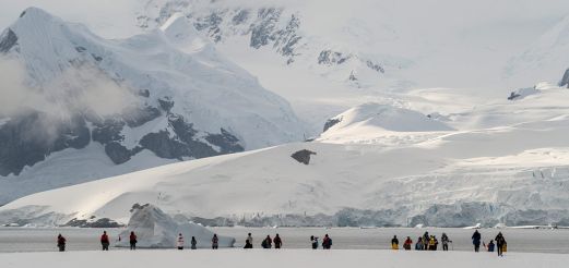 Ausflug in der Antarktis
