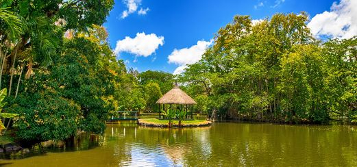 Botanischer Garten von Pamplemousses auf Mauritius