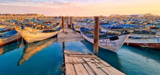 Bunte Fischerboote im Hafen von Nouadhibou