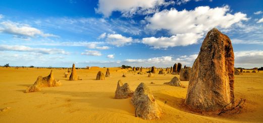 Die Pinnacles-Wüste im Nambung-Nationalpark 