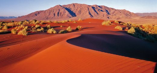 Düne 45 in Namibia, eine der höchsten Dünen der Welt