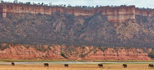 Elefanten vor den Klippen von Gonarezhou Elefanten vor den Klippen von Gonarezhou