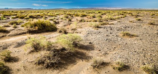 Endlose Gobi-Wüste, Mongolei und China