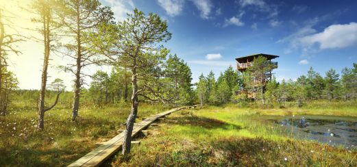 Unterwegs im Laheema-Nationalpark