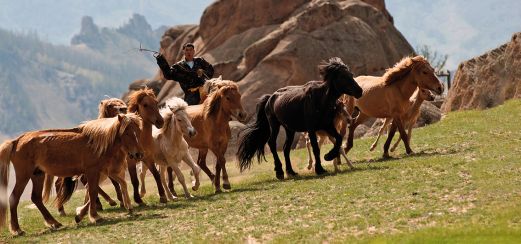 Reitershow in der Monglei