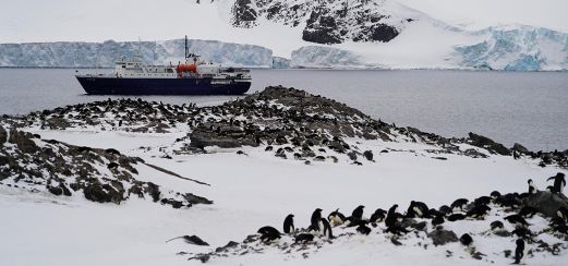 MS Ortelius im Weddellmeer