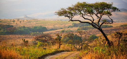 Nyika-Nationalpark