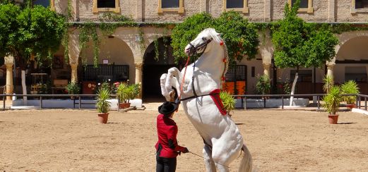 Pferdedressur in Jerez