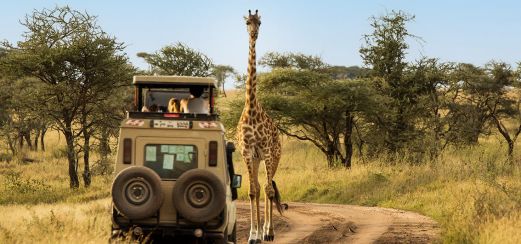 Safari im Serengeti-Nationalpark