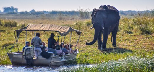 Safari per Boot im Chobe-Nationalpark