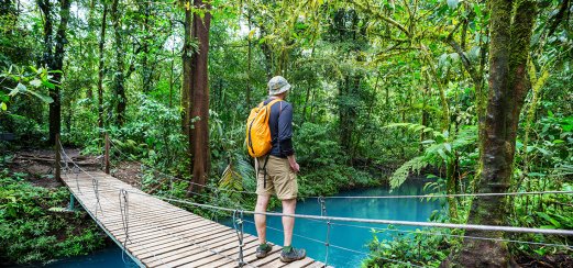 Wanderung durch den Regenwald Costa Ricas