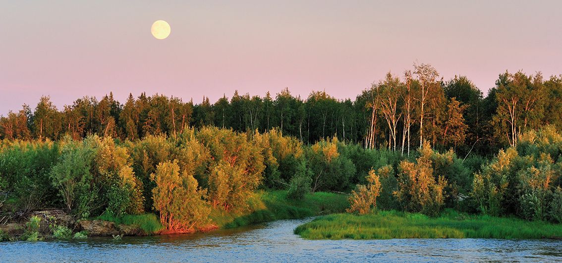 Weiße Nächte in der Taiga