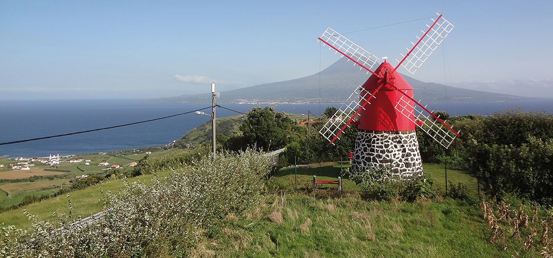 Im Weinanbaugebiet auf Pico, Azoren.