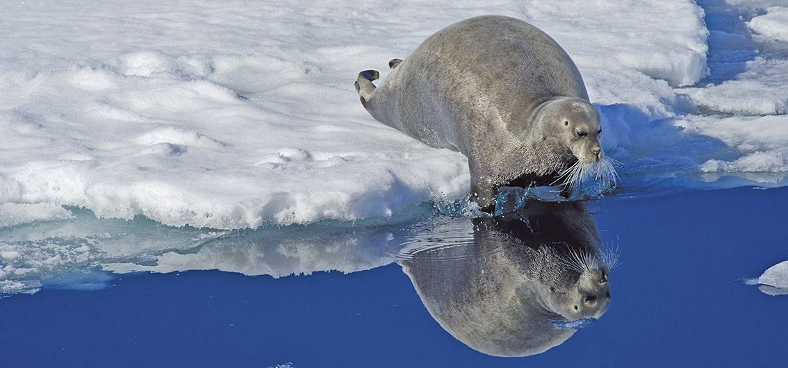 Spitzbergen