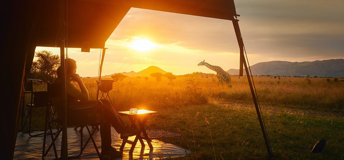 Abendstimmung Savanne