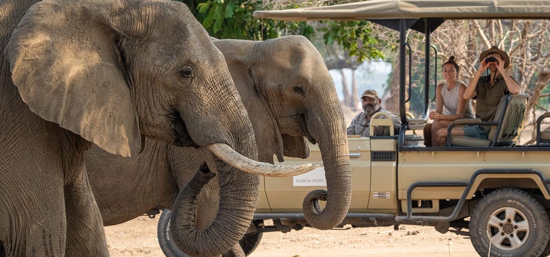 Afrika--Auf-Safari--Jeep
