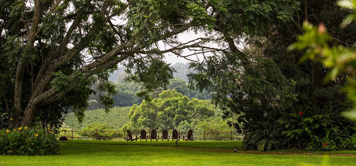 Afrika_Tansania_The Manor at Ngorongoro - Garten