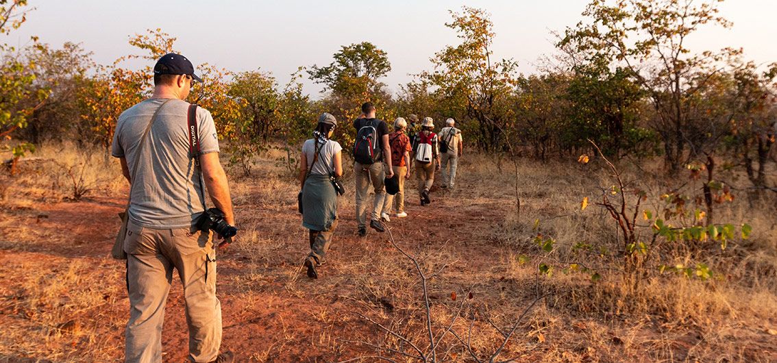 Afrika-Mana-Pools-Nationalpark- Ausflug Afrika-Mana-Pools-Nationalpark- Ausflug