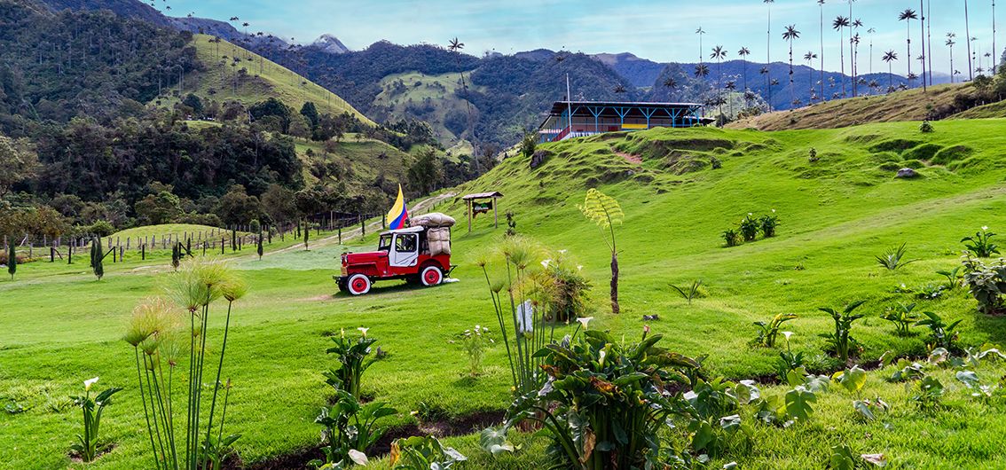 Das idyllische Valle de Cocora, Kolumbien