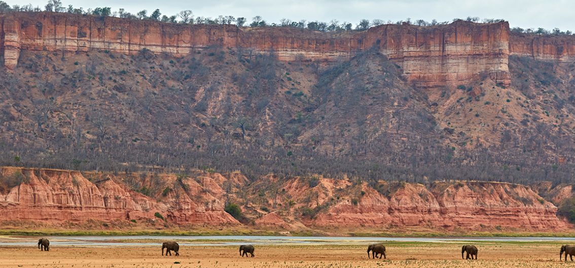 Elefanten vor den Klippen von Gonarezhou Elefanten vor den Klippen von Gonarezhou
