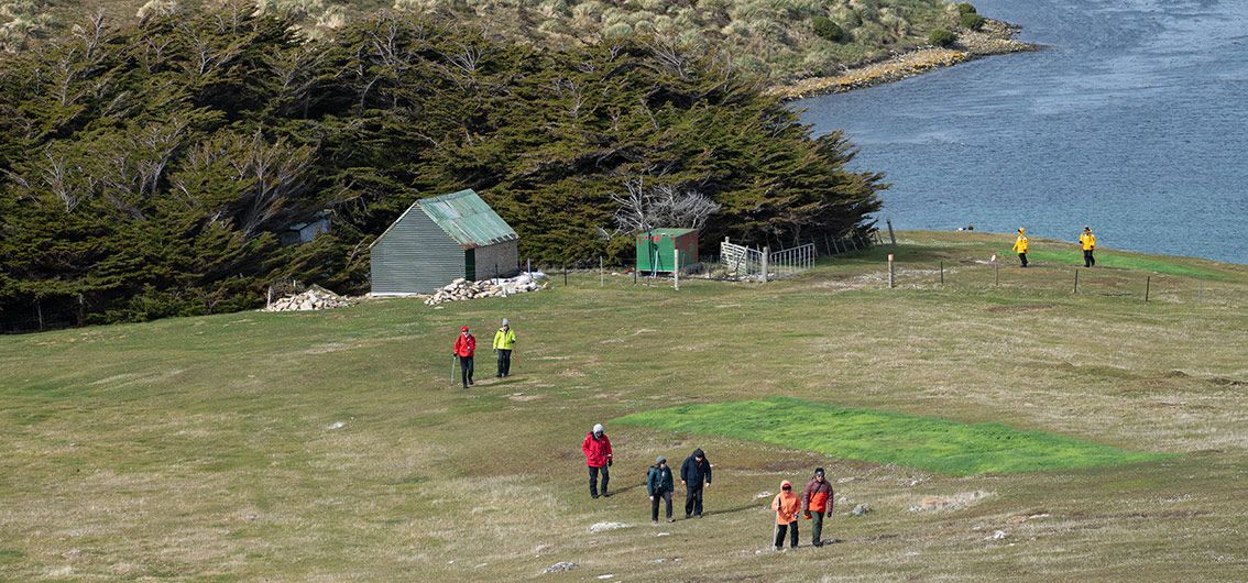 Falklandinseln Falklandinseln