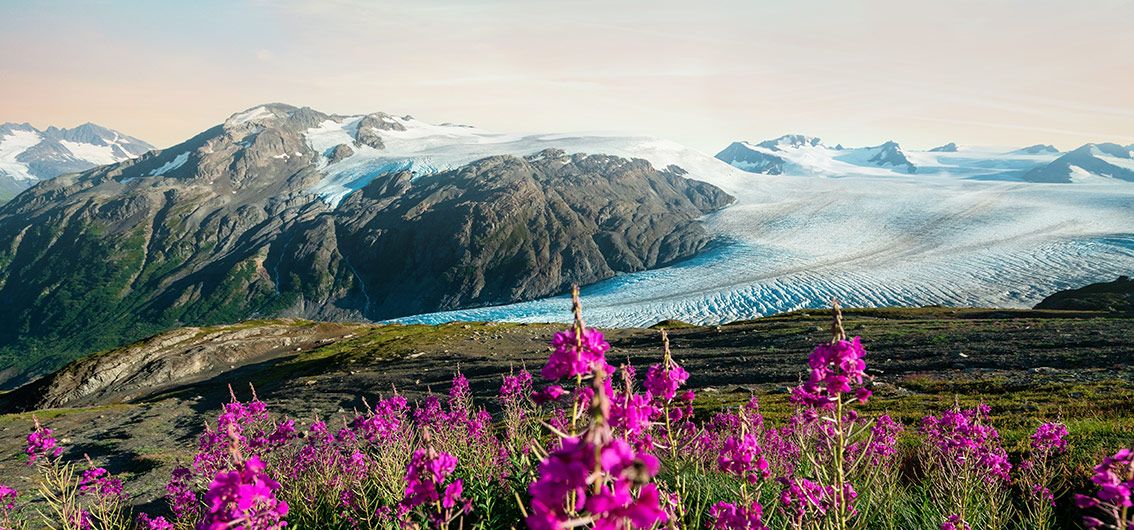 Kenai-Fjords-Nationalpark---