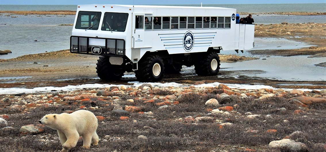 Mit dem Buggy durch die Tundra, Kanada