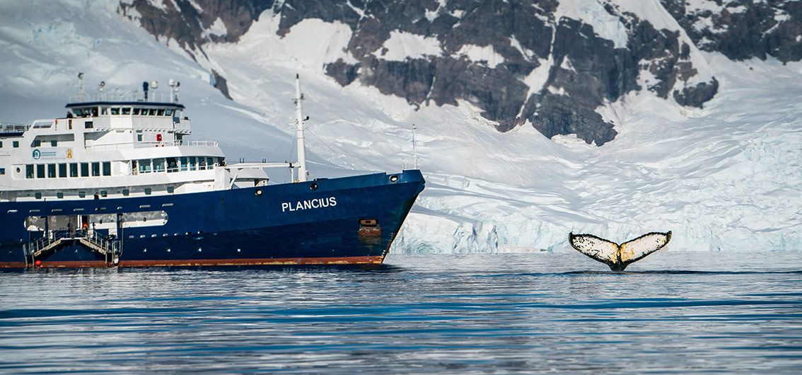 MS-Plancius---12---Credit-Oceanwide-Expeditions