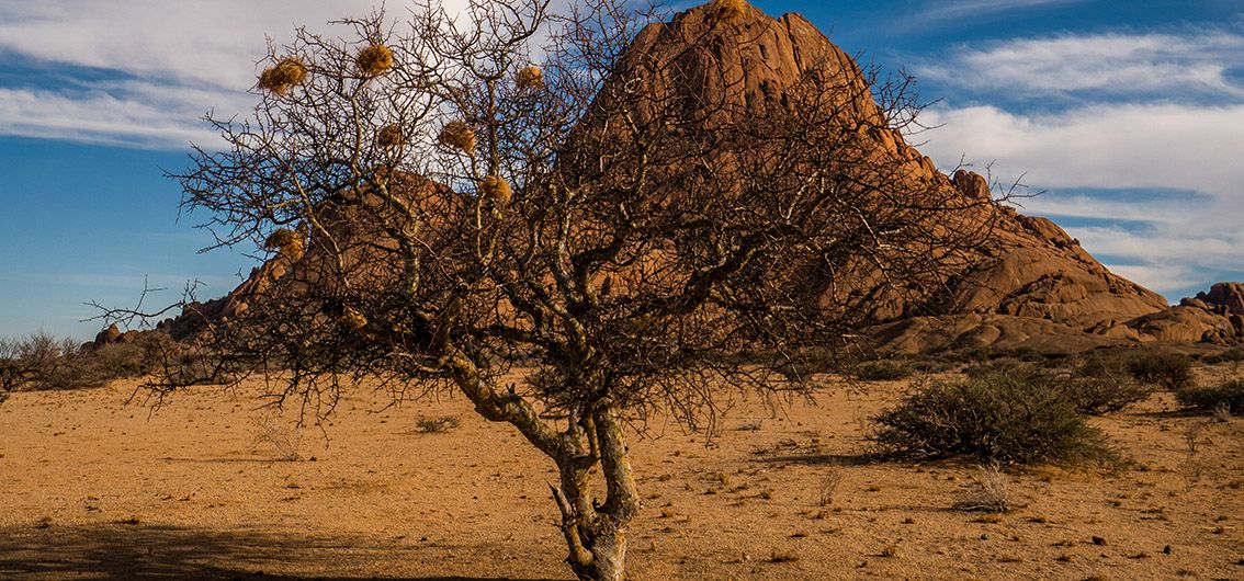 Namib-Wüste