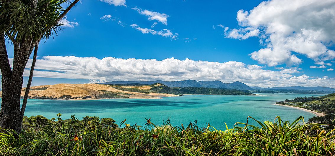 Naturhafen Hokianga Harbour, Neuseeland