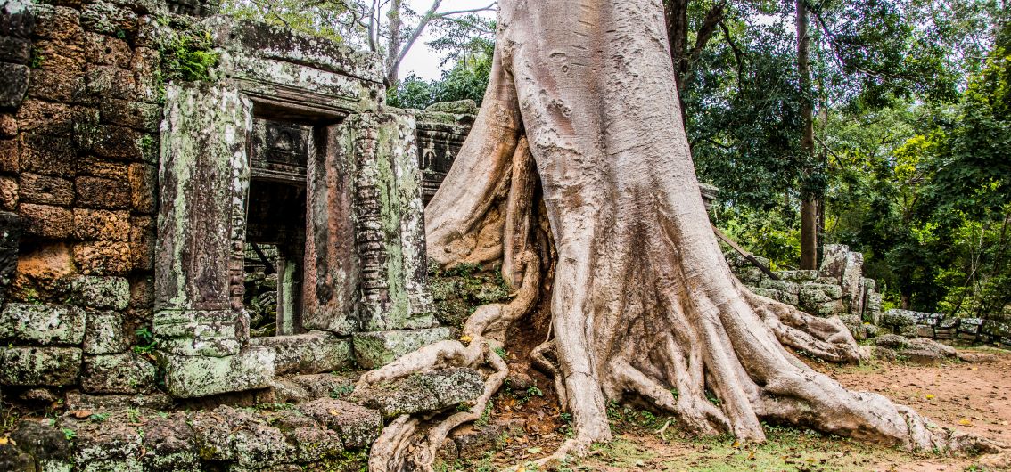 Per E-Bike durch Kambodscha - Tempel Ta Prohm - Siam Reap Per E-Bike durch Kambodscha - Tempel Ta Prohm - Siam Reap
