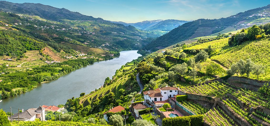 Douro Tal in Portugal