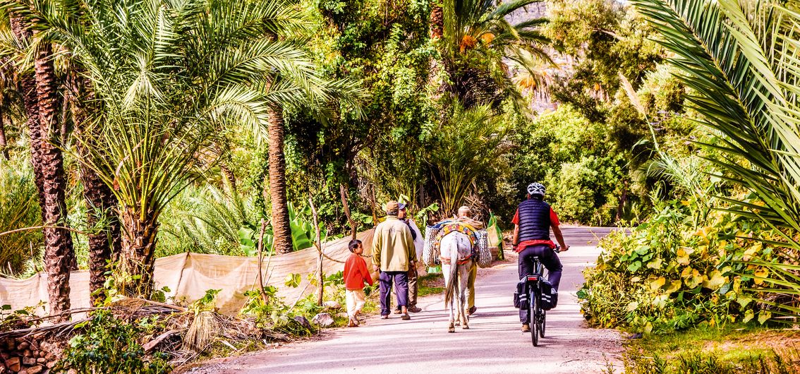 Radfahrer in Oase