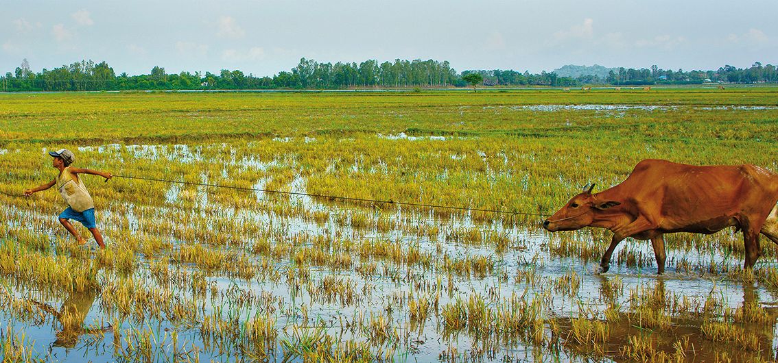 Vietnam