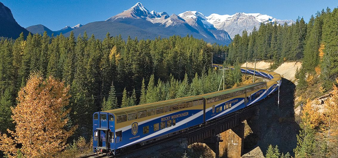 Rocky Mountaineer - Goldener Ahorn