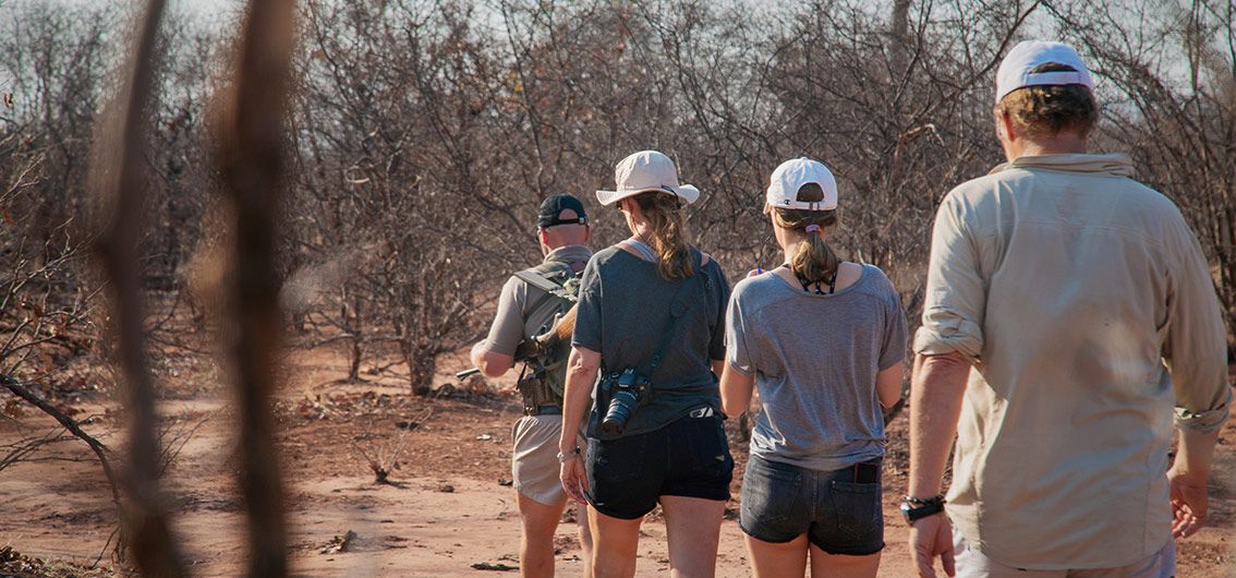 Afrika - Simbabwe - Safari-zu-Fuß
